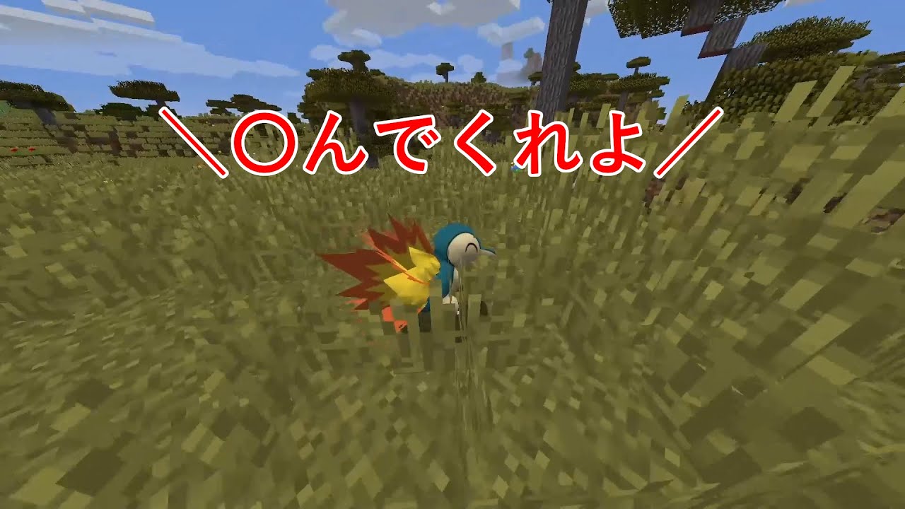 口が悪すぎるヒノアラシ【マイクラポケモンMOD】