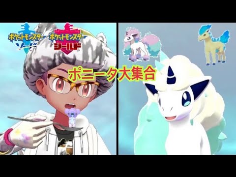 #ポケモン  ソードシールド  ポニータは可愛い