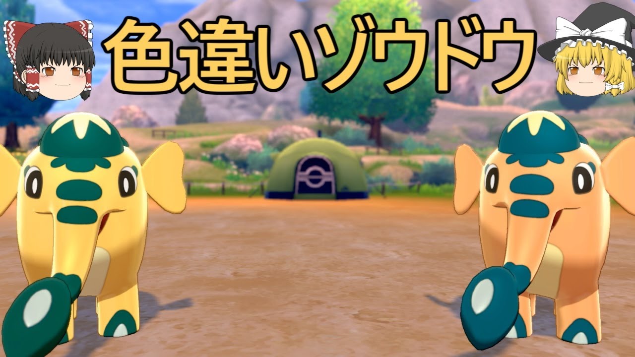 【ゆっくり実況】かわいい色違いゾウドウ！【ポケモン剣盾】