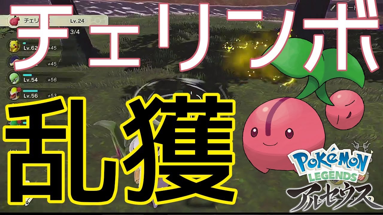 今年もチェリンボが豊作じゃ〜〜！！ 〜チェリンボの大量発生、普段のチェリンボ、チェリムの出現場所〜【ポケモンアルセウス】