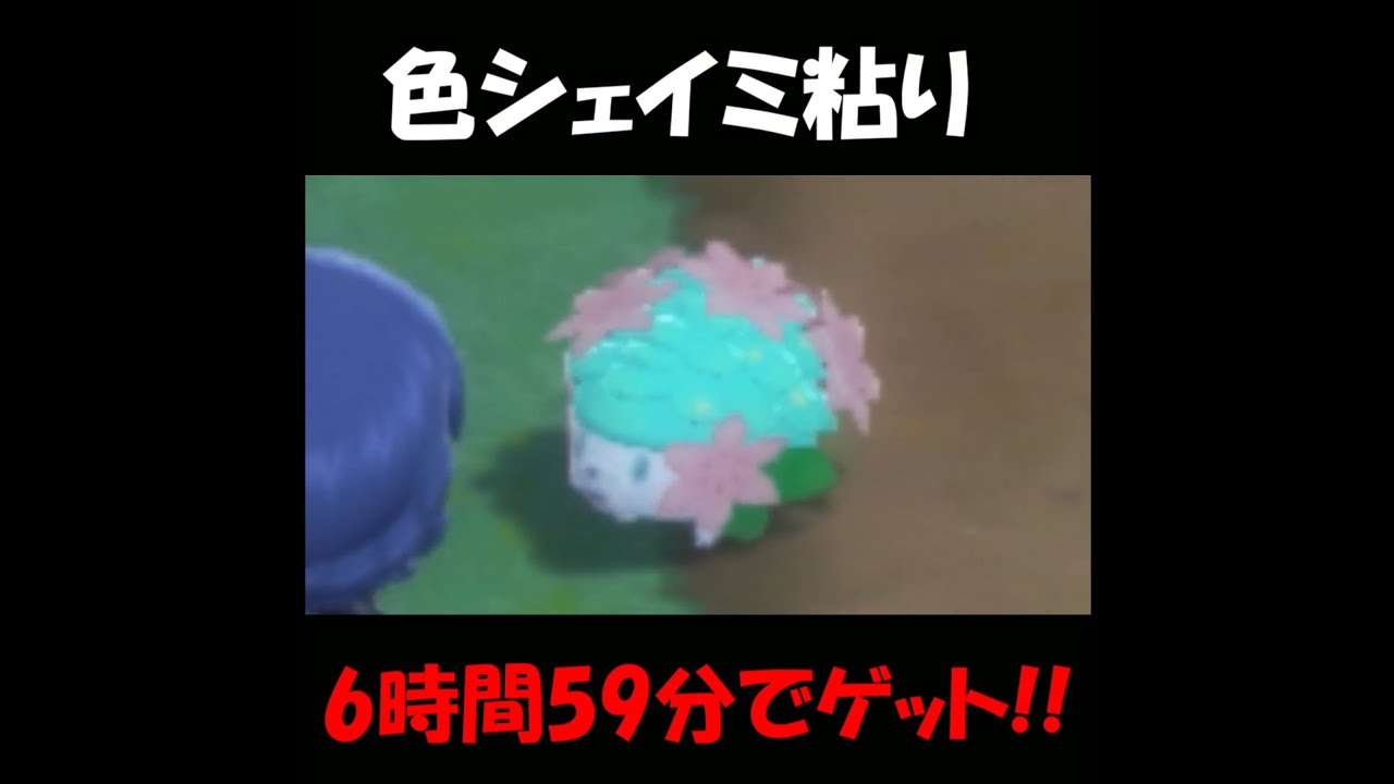 1分で分かる！色違いシェイミをゲットして、ランドフォルムとスカイフォルムを連れ歩くまで【ポケットモンスター BDSP】 #Shorts