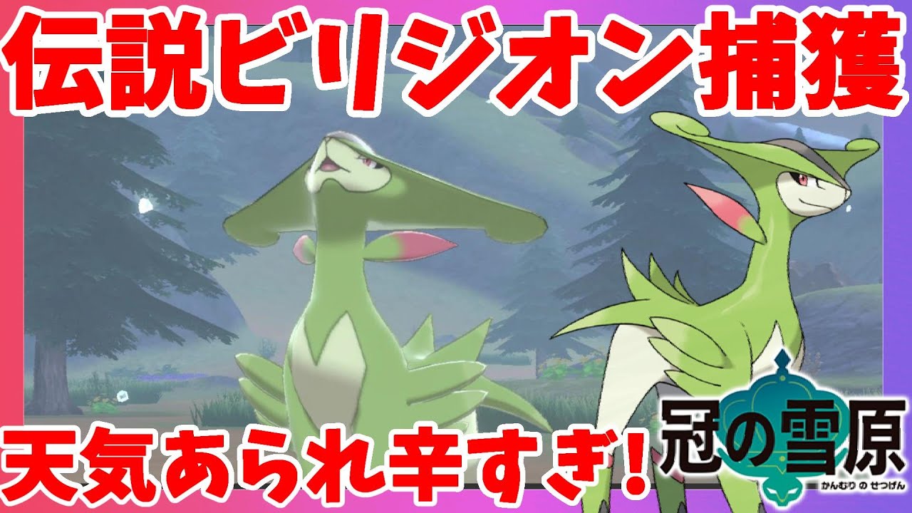 【ポケモンソードシールド】ビリジオンゲット！最悪な天候！にほんばれしながら捕獲はつらい！シールド#19冠の雪原【エキスパンションパス】