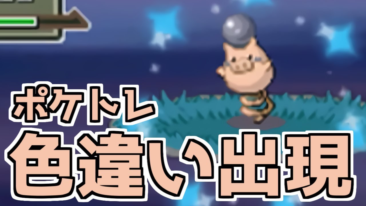 【ポケトレ】色違いバネブーに低確率を引かされる男【ポケモンDPPt】