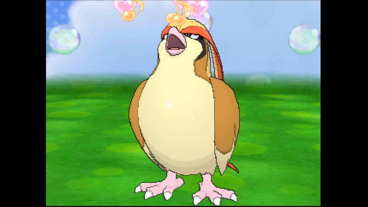 ポケパルレ　ピジョットと戯れるだけの動画