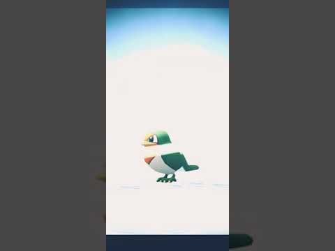 スバメ色違い進化