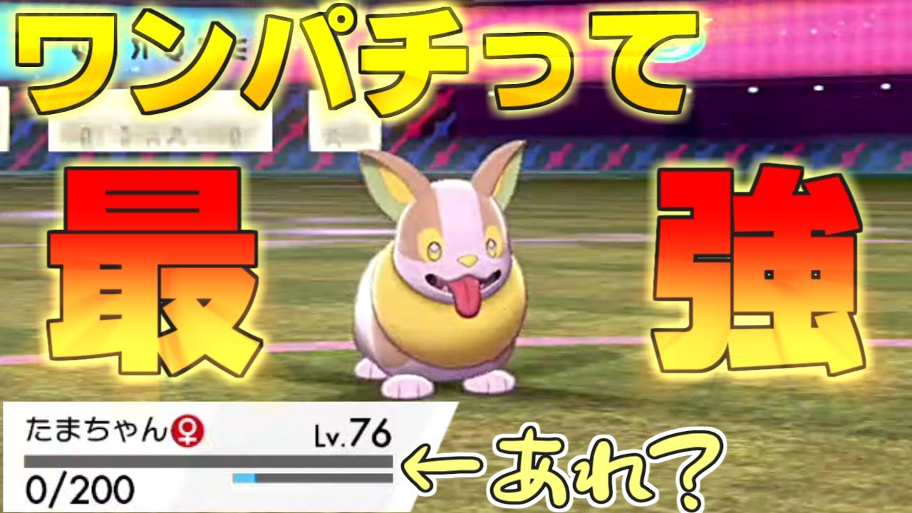 【実況】ワンパチはかわいくて強くて最高！ワンパチ１匹だけでクリア!!【ポケモンソード】#12