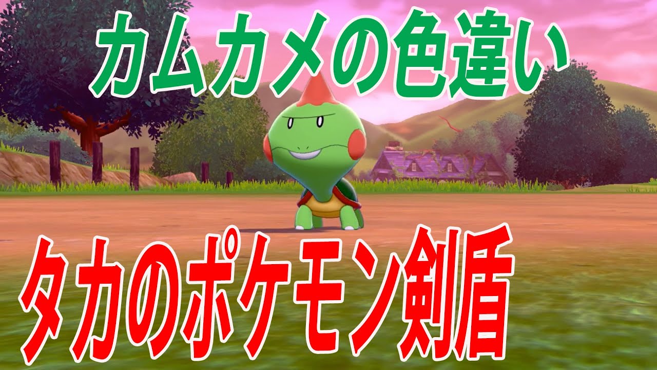ポケモン剣盾　色違い　カムカメ