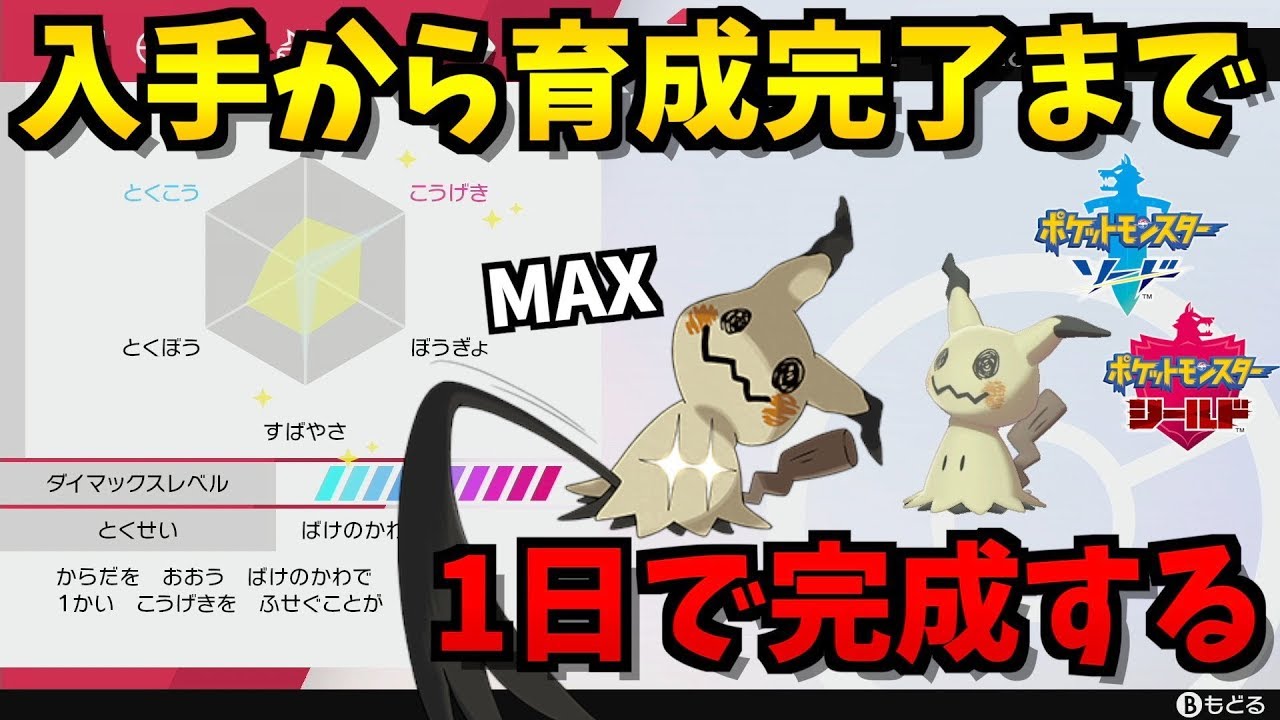 【入手から】初心者でもこの動画を見ればランク戦で使える育成済みミミッキュができます！【ポケモン剣盾/ポケモンソードシールド】