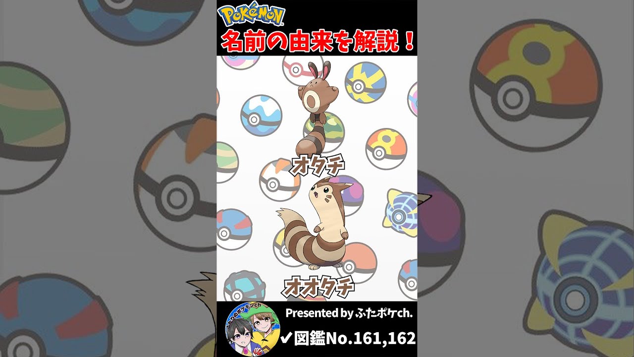 ポケモン名の由来『オタチ・オオタチ』 #Shorts