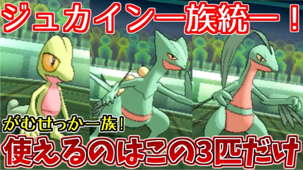 【ポケモンUSUM】ジュカイン一族統一で対戦してみた！【ゆっくり実況】
