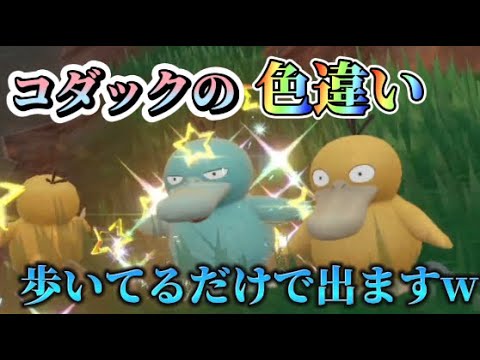 レアで入手困難なコダック色違いが簡単に手に入るw【ポケモンSV】