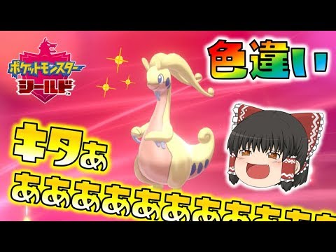 【ポケモン剣盾】超激レア！色違いヌメルゴンをゲット！！ゆっくり達のポケットモンスターシールド part16