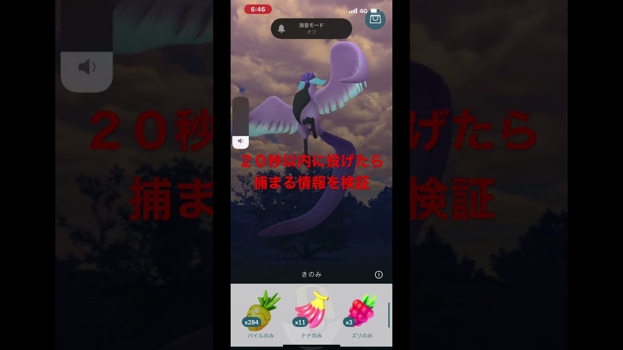 検証！ガラルフリーザー２０秒以内に投げたら捕まる？疑惑の情報を確かめてみた