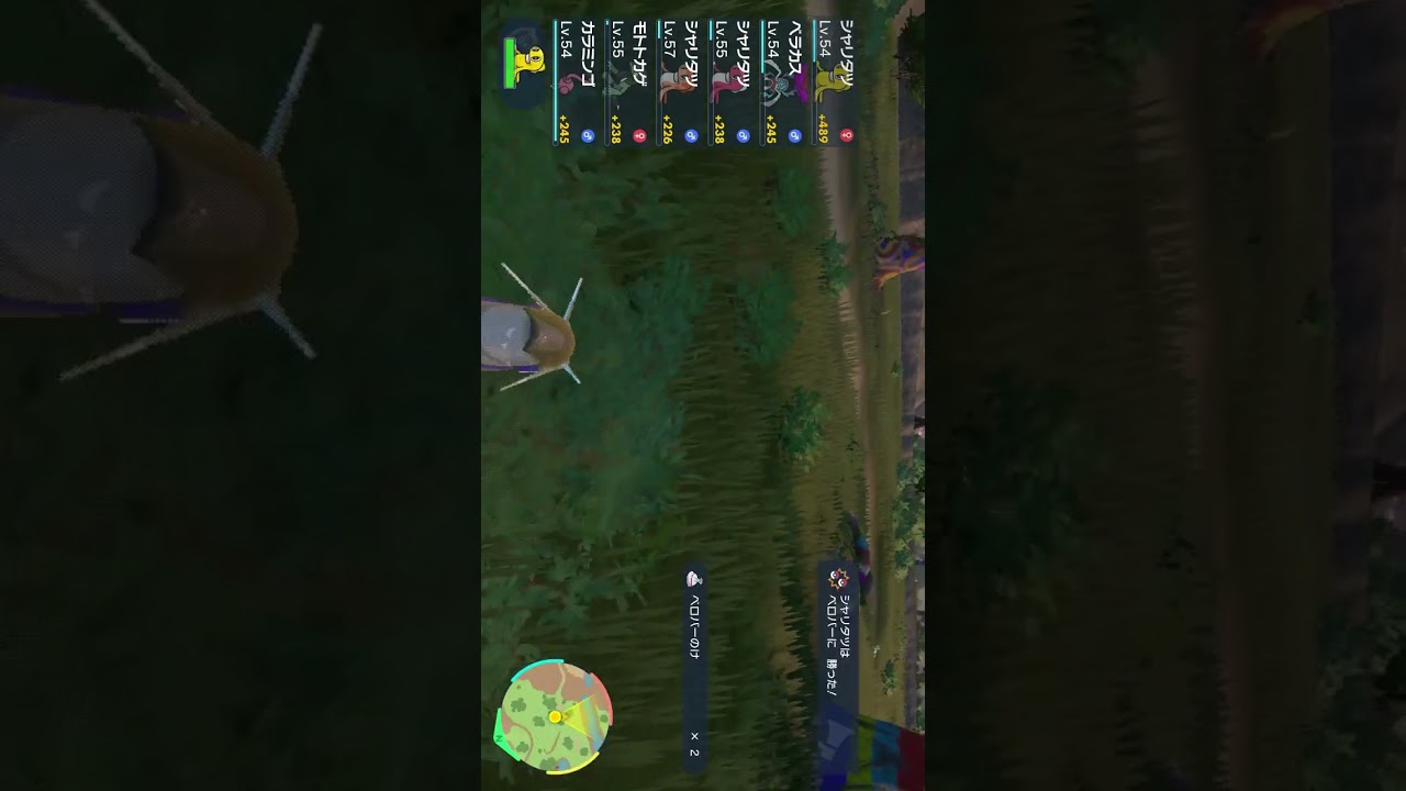 【目撃】ネッコアラ、移動方法がまさかの……【ポケモンSV】