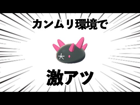 ランドもエスバもミミッキュも完封。『天然ナマコブシ』を育てたくなる動画【ポケモン剣盾/冠の雪原】
