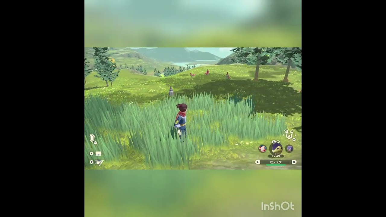 ポケモンレジェンズアルセウス　　　　　　ケムッソ色違い出現シーン！！