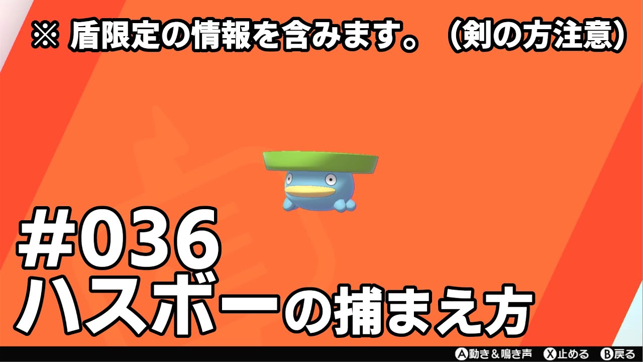 ハスボーを探している方に見てほしい動画