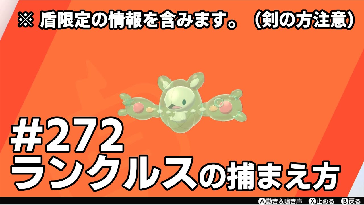 ランクルスを探している方に見てほしい動画