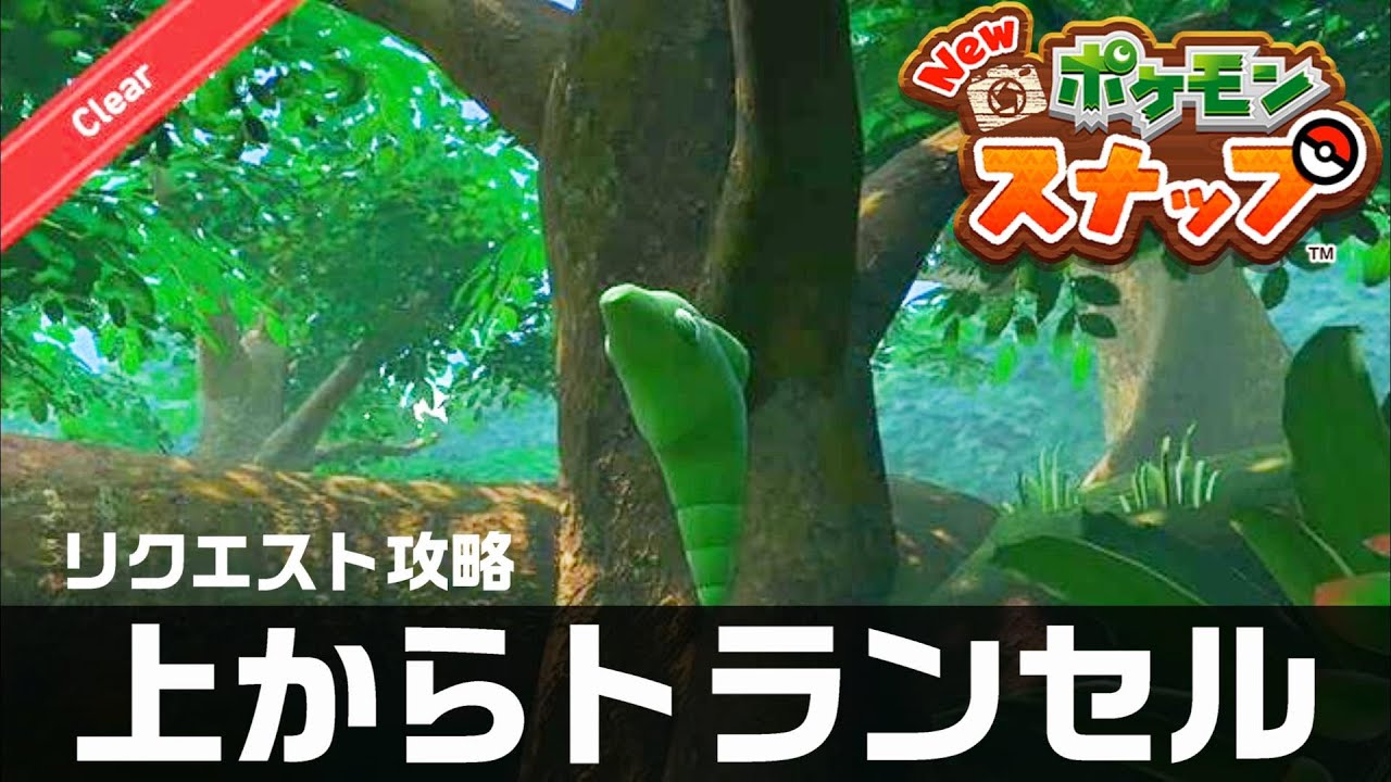 上からトランセル【Newポケモンスナップ・リクエスト攻略】