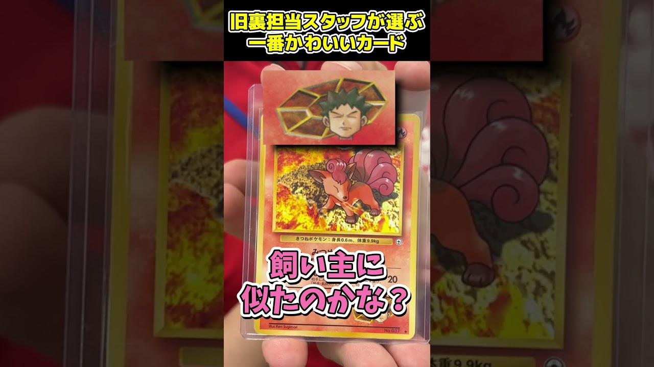 【速報】顔がタケシにそっくりのロコンが見つかってしまう…… #shorts