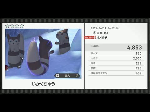 Newポケモンスナップ　★4オオタチ【4853】