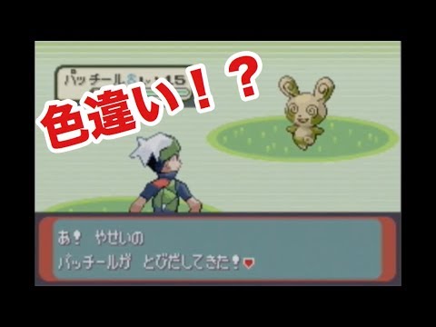 雑談作業中にパッチールの色違いに遭遇した男【ポケモンエメラルド】