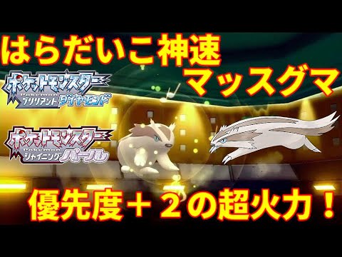 【ポケモンBDSP】はらだいこしんそくマッスグマの強さが異次元過ぎる件について【ダイパリメイク】