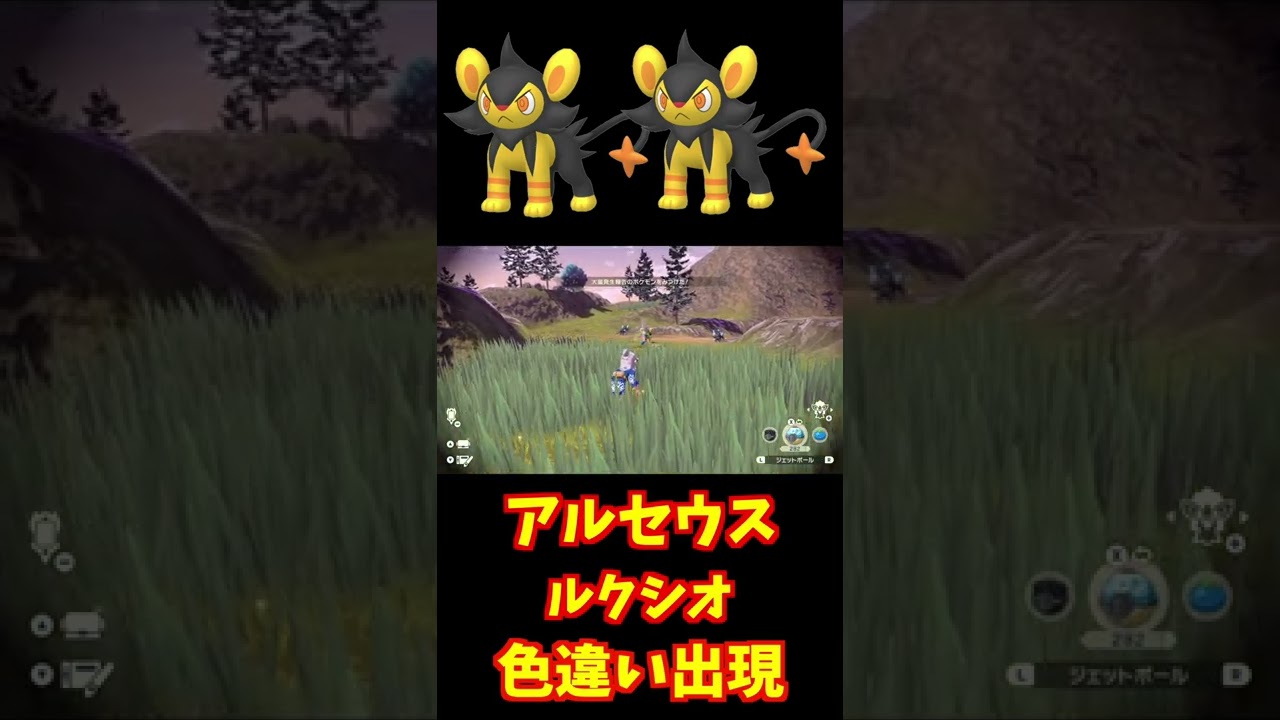 アルセウスで色違いルクシオ発見！！狙って一発で出現！！【ポケモン】【アルセウス】