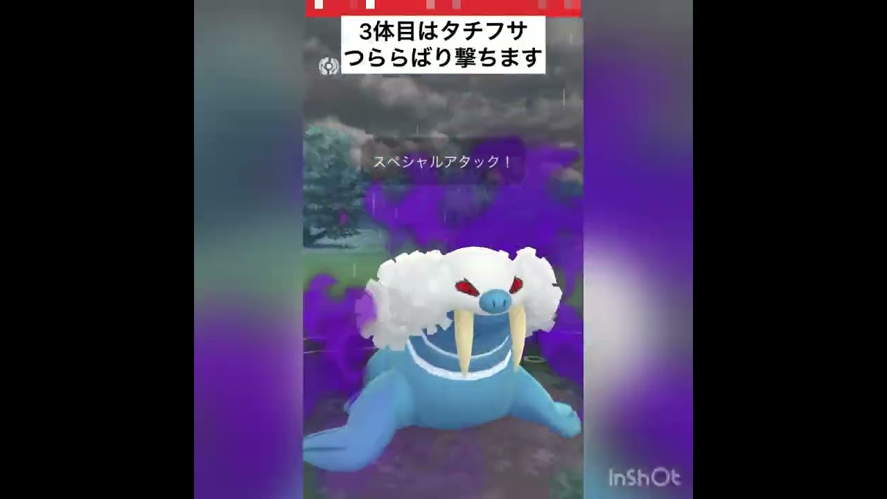 サマーカップ　初手デンチュラ‼️