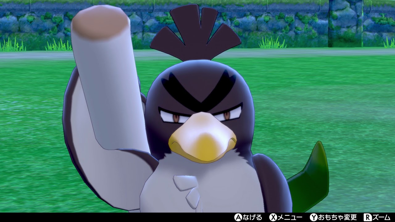 【ポケモンキャンプ】ガラルの姿のカモネギがかわいいだけの動画（図鑑説明有り）【ポケモン剣盾/ポケモンソードシールド】