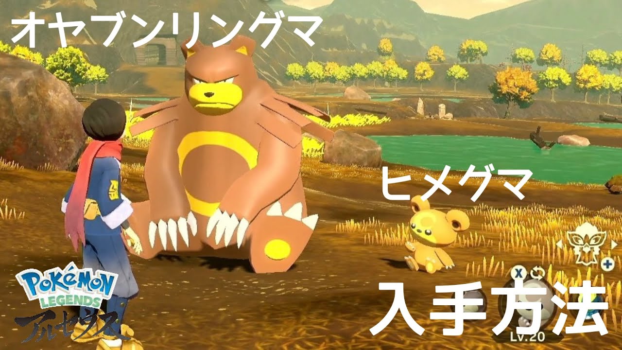 【ポケモンアルセウス】【実況】リングマ・ヒメグマ入手方法
