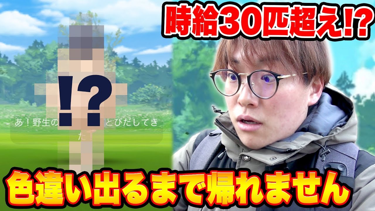 【ポケモンGO】時給30超え!!バネブーの巣でバネブー色違いが出るまで帰れません!!【PokemonGO】