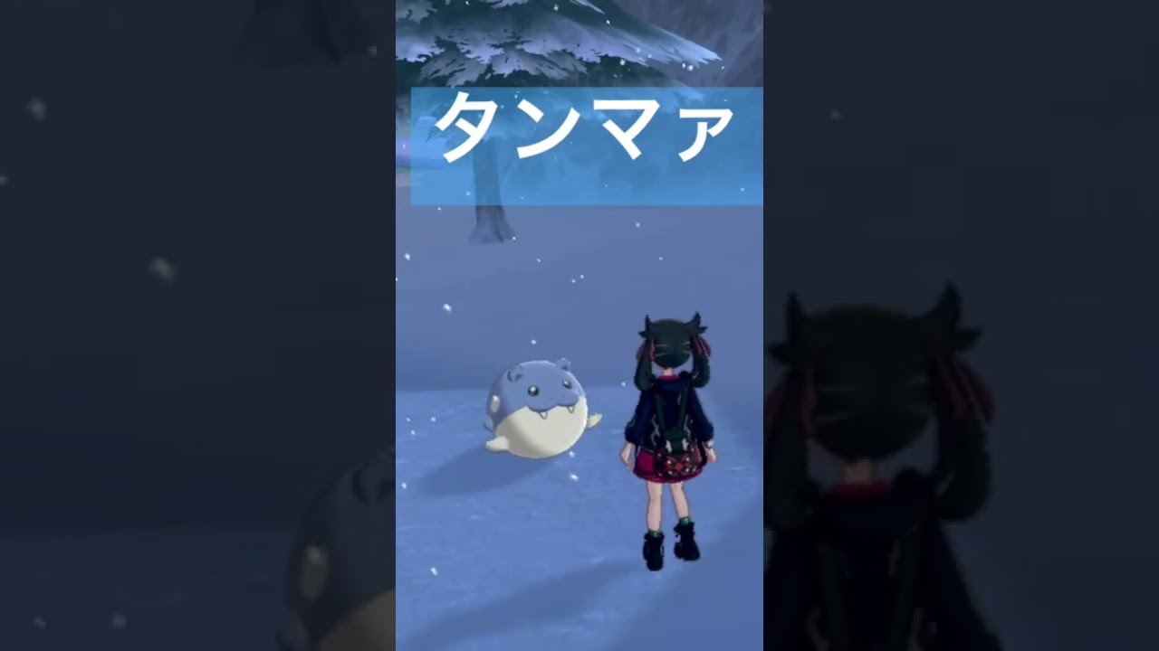 【ポケモン剣盾】野生のタマザラシが可愛すぎた #Short