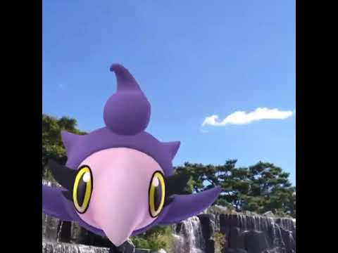 슈쁘 ( Spritzee ) シュシュプ ( 粉香香 )