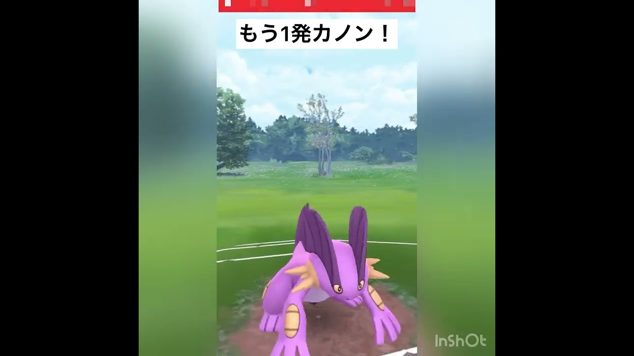 バルジーナ強ぉ〜い‼️