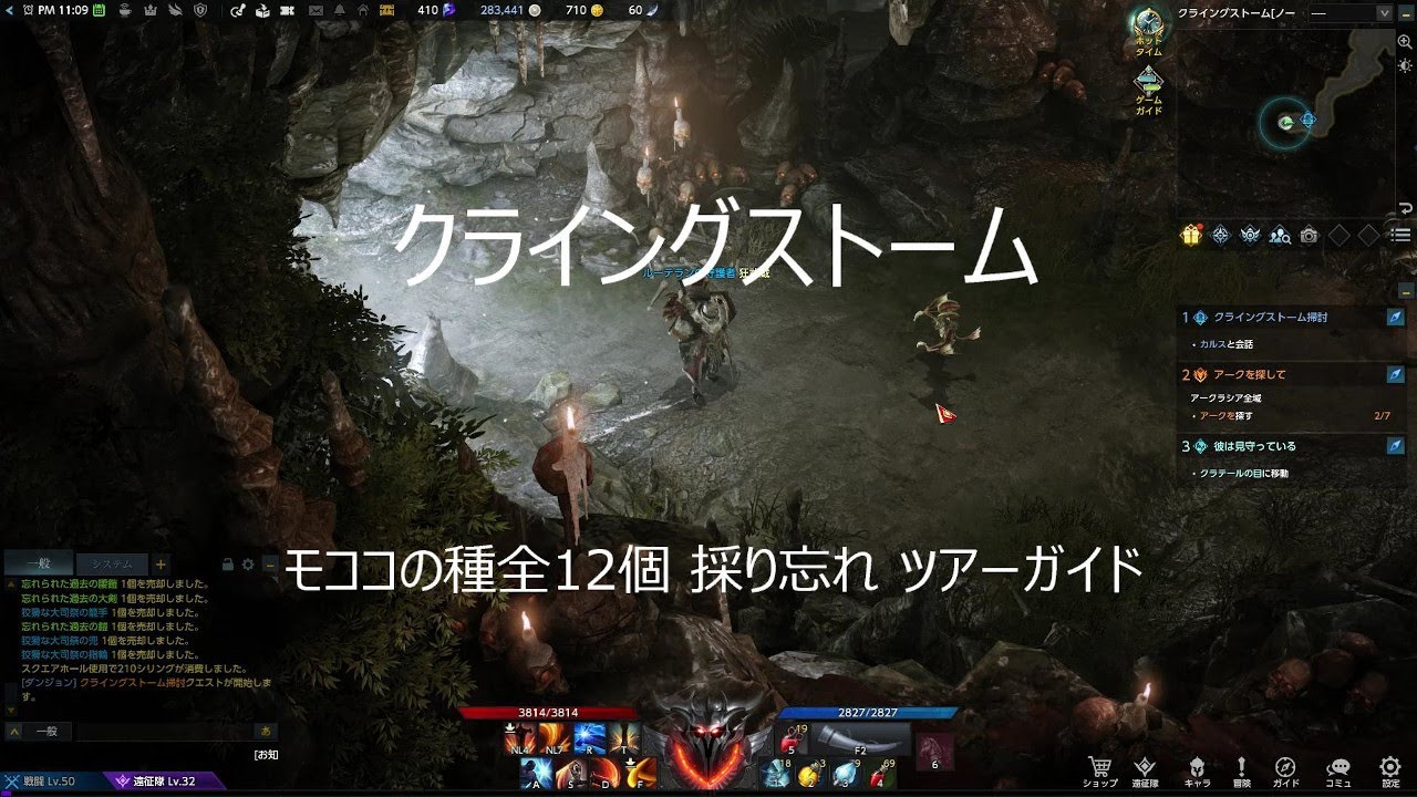 クライングストーム モココの種全12個 採り忘れ ツアーガイド #ロストアーク #LostArk