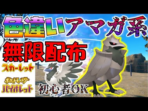 【色違いレイド】色違いアーマーガア系統無限配布　誰でも参加OK【ポケモンSV】