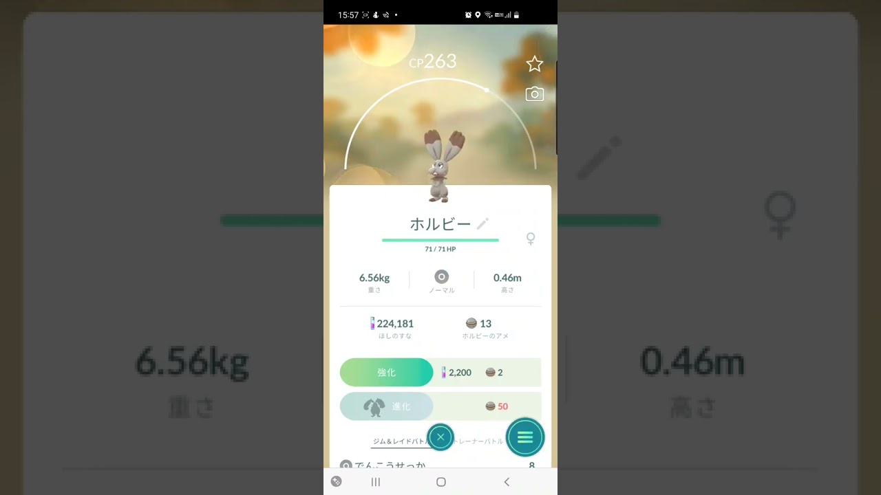 ホルビー鳴き声