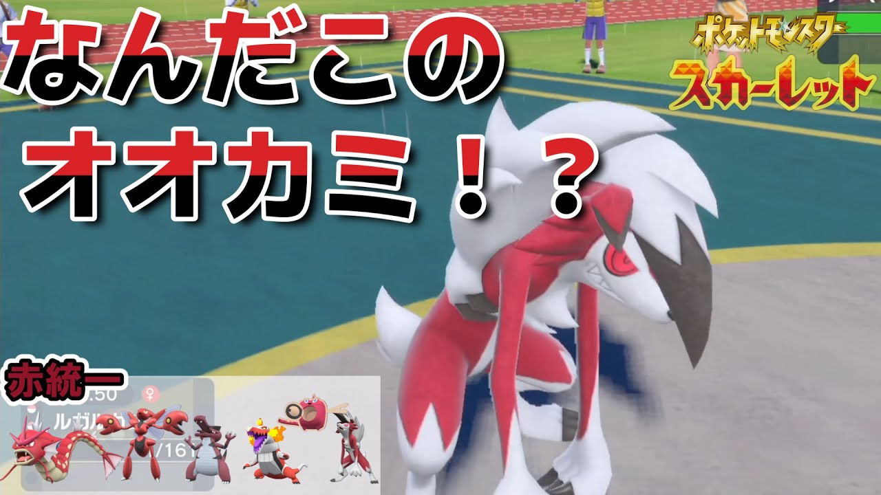 【ポケモンSV】たった3ターンで相手パーティを殲滅する謎のオオカミ “まよなかルガルガン”【赤統一】