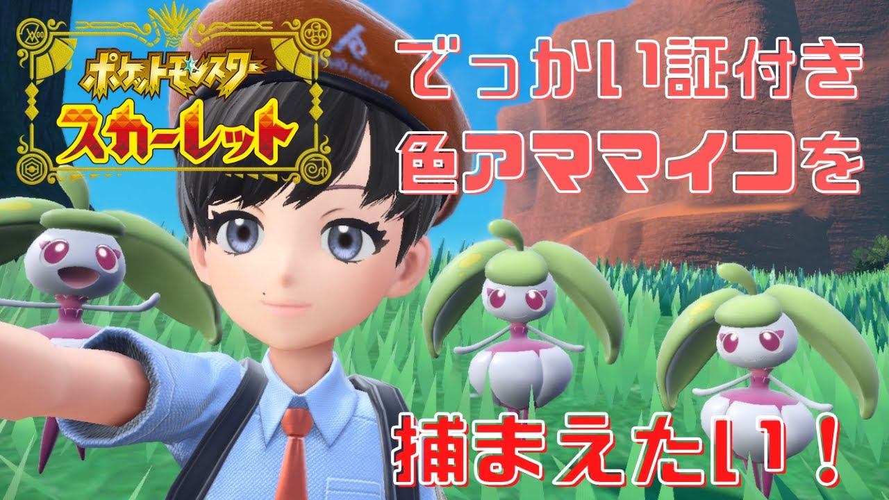 でっかい証色違いアママイコをGETしたい！【ポケモンスカーレット】