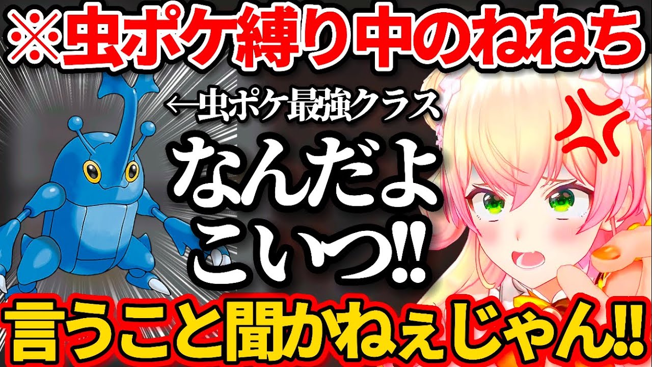 【ポケモンSV】念願の"ヘラクロス"をゲットするも、言うことを聞いてくれず軽くキレる桃鈴ねねw【ホロライブ切り抜き/尾丸ポルカ】