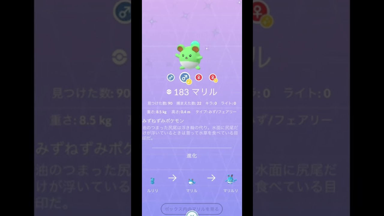 ルリリ/マリル/マリルリ色違い【色違いポケモン】レジェンズアルセウス/ダイパリメイク