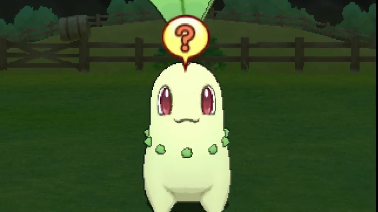 ポケリフレ　チコリータと戯れるだけの動画
