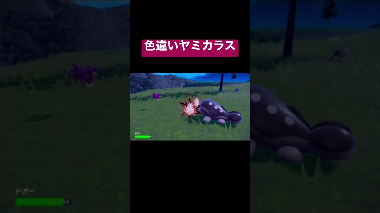 【ポケモンSV】初めての色違い！ヤミカラスとそんなこと知らないドオー君