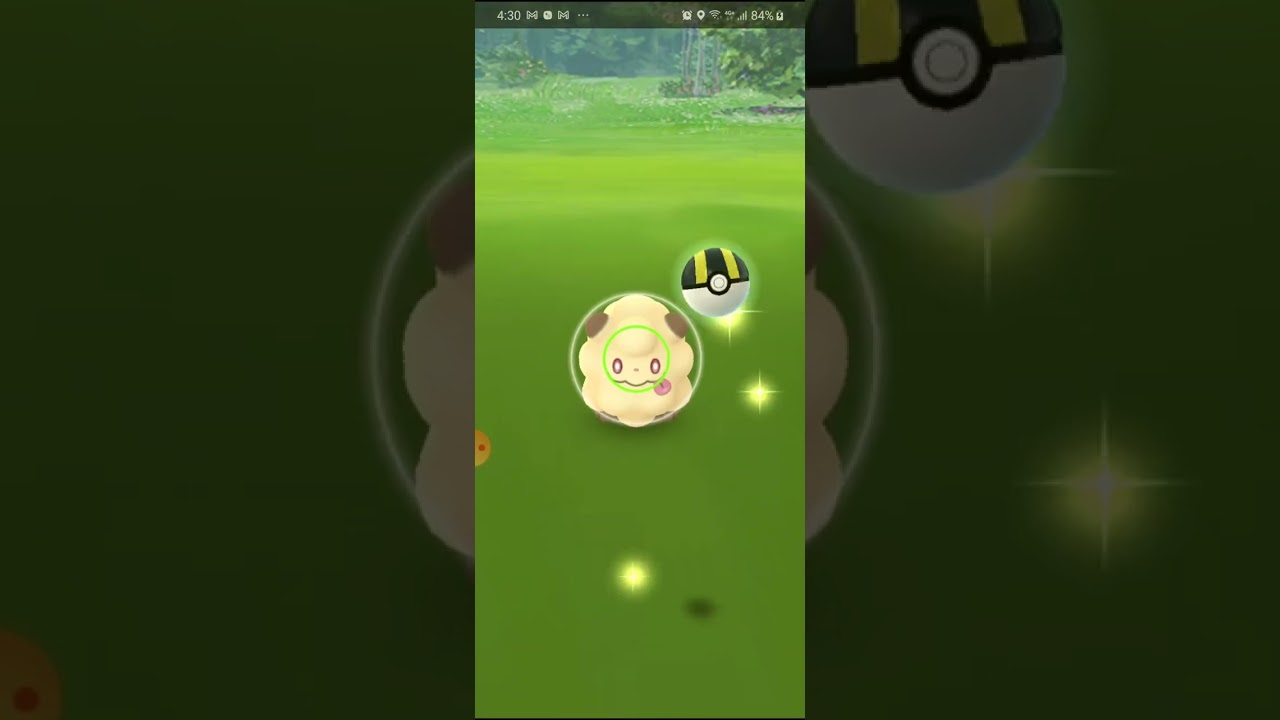 ペロッパフ色違い