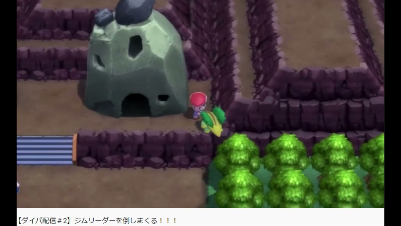 【ポケモンにやさしく】ハヤシガメに対して辛辣すぎるミスター千葉【切り抜き】