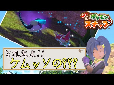 Newポケモンスナップ　リクエスト『ケムッソの？？？』『とんでビックリ』　解説動画