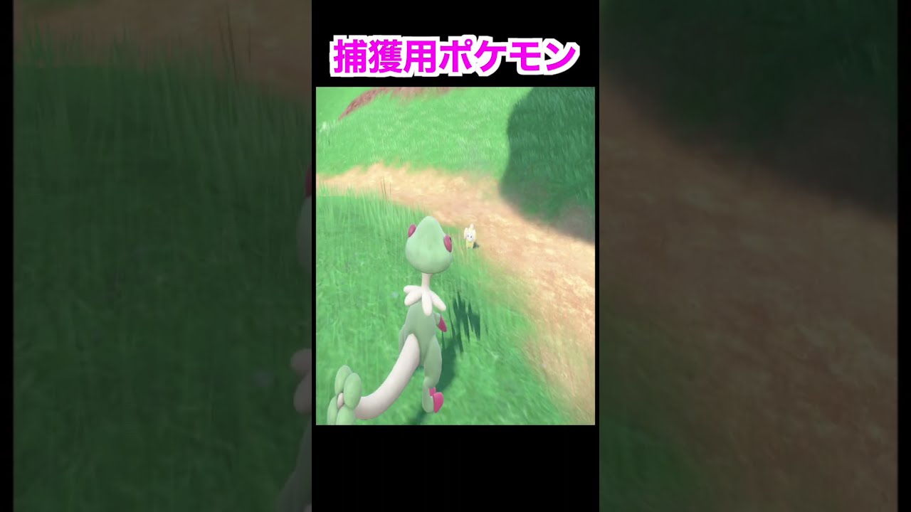 【ポケモンSV 】最高の捕獲要員キノガッサの作り方と注意点紹介します！おすすめキノココの出現場所#Shorts【「みねうち」「キノコのほうし」修得方法】