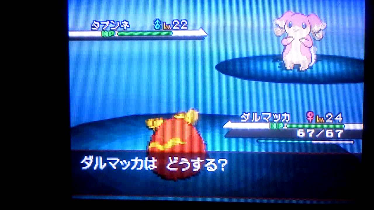 ポケモンbw タブンネ狩り レベル上げ経験値稼ぎ 動画