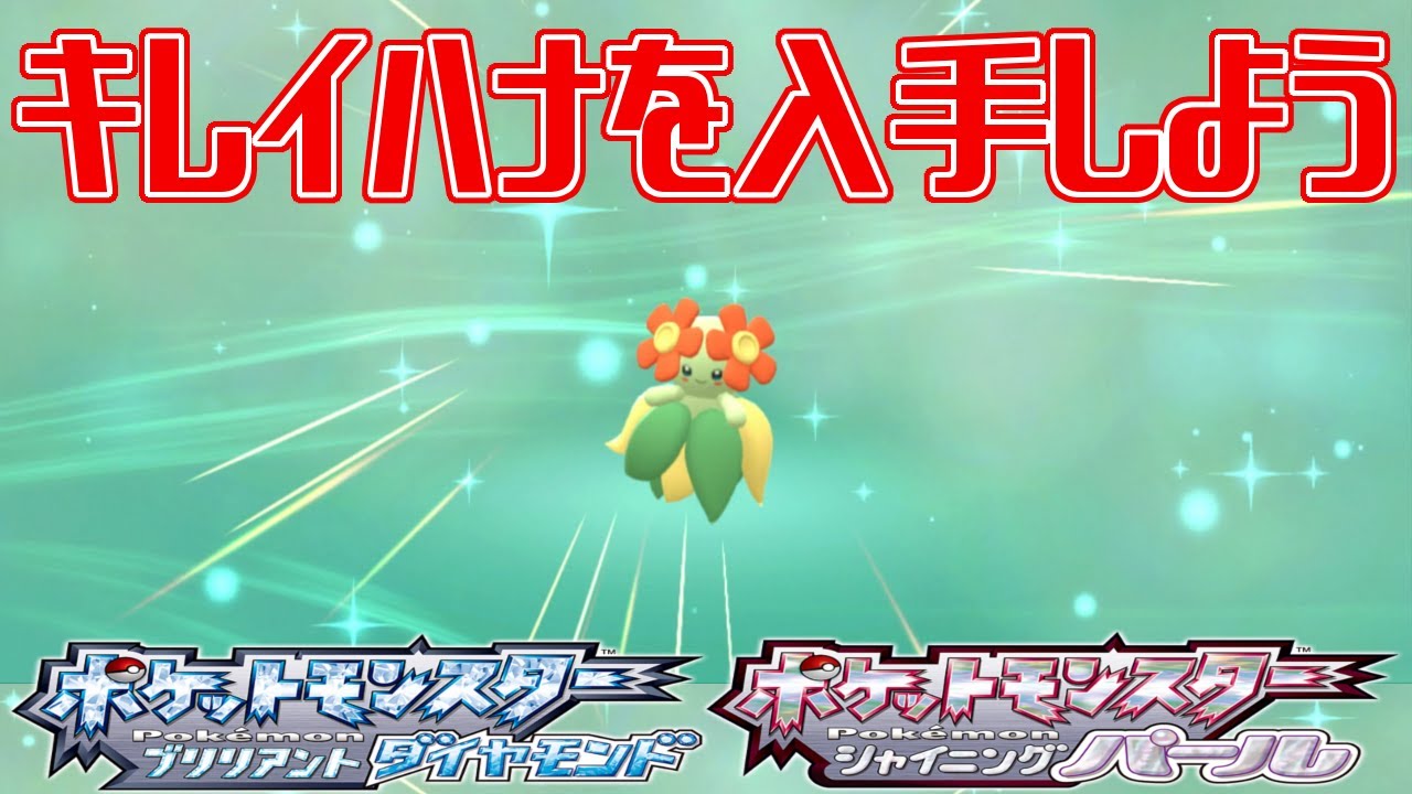 【ポケモンダイパリメイク】キレイハナを入手しよう クサイハナをキレイハナに進化させる方法【ポケットモンスター ブリリアントダイヤモンド・シャイニングパール】Pocket Monsters